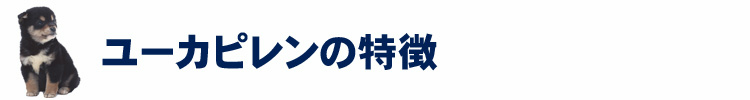 ユーカピレンの特徴