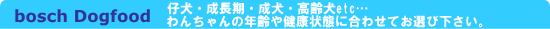 ���Y���@���R�f�ށ@�h�C�c�@�{�b�V���@�h�b�O�t�[�h