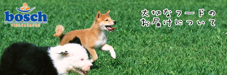 大切なフードのお届けについて