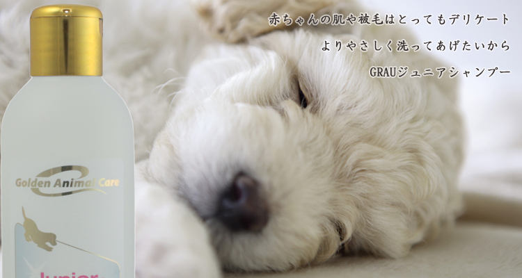 全種仔犬・子猫および皮膚が特にデリケートな成犬・成猫