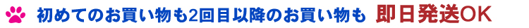 初めてのお買い物も2回目以降のお買い物も即日発送OK