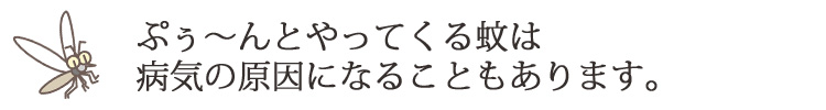 ぷぅ～んとやってくる蚊は病気の原因になることもあります。