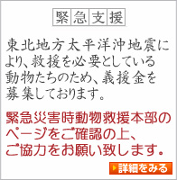 緊急災害時動物救援本部義援金のお願い