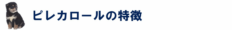 ピレカロールの特徴